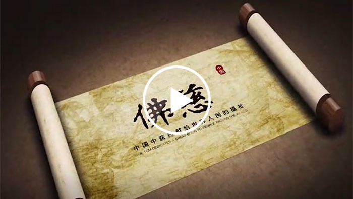 佛慈宣傳片