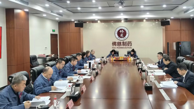 佛慈集團黨委召開2024年度民主生活會